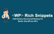 WP Rich Snippets COupon Codes
