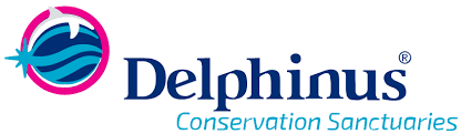 Delphinusworld Coupon Codes