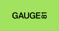 Gauge81 Coupon Codes